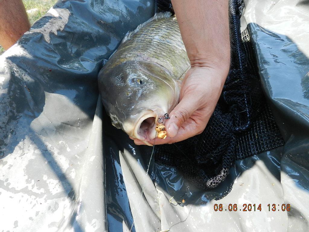 marginal fishing - dscn2681.JPG